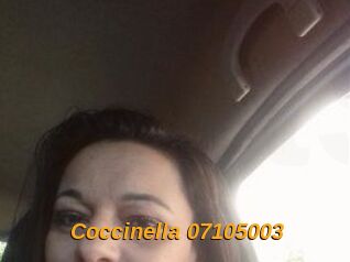 Coccinella-07105003