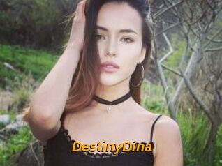 DestinyDina