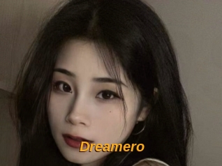 Dreamero