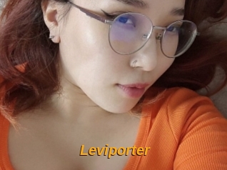 Leviporter