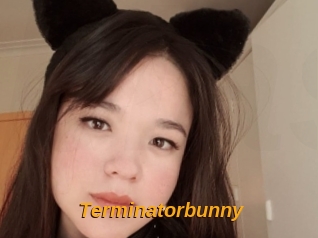 Terminatorbunny